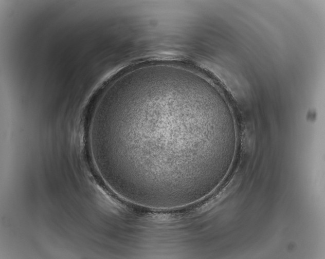 X0000097921402200803211517
