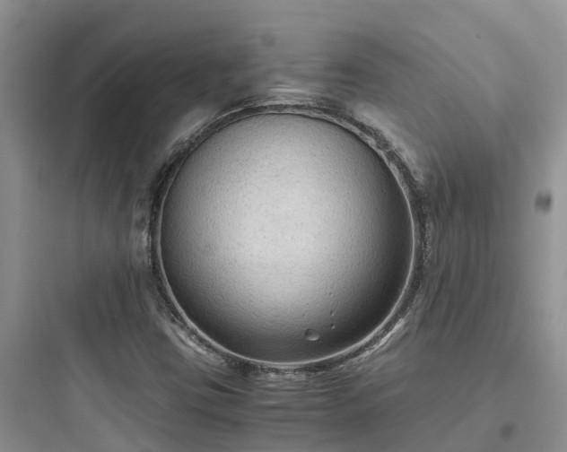 X0000097921403200803211517