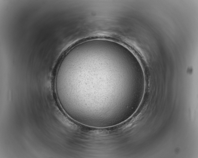 X0000097921404200803211517