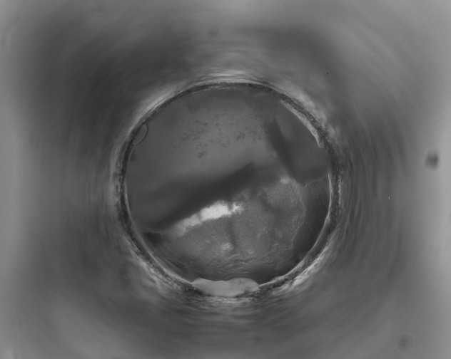 X0000097921405200803211517