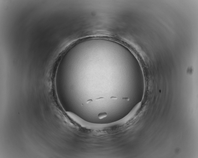 X0000097921407200803211517