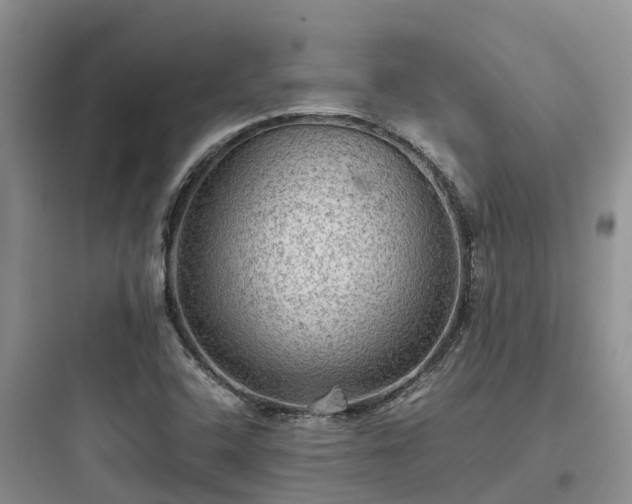 X0000097921408200803211517