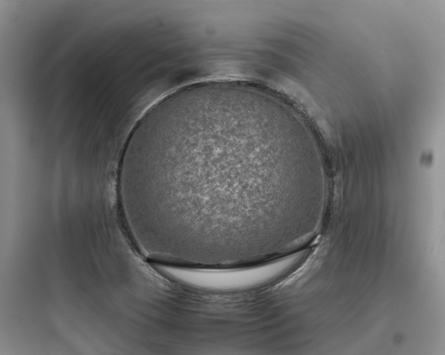 X0000097921409200803211517