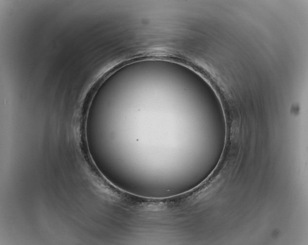 X0000097921410200803211517