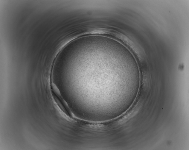 X0000097921417200803211517