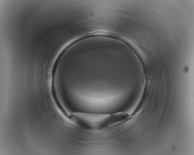 X0000097921418200803211517