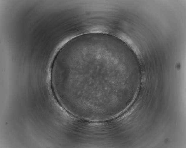 X0000097921419200803211517