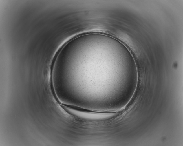 X0000097921420200803211517
