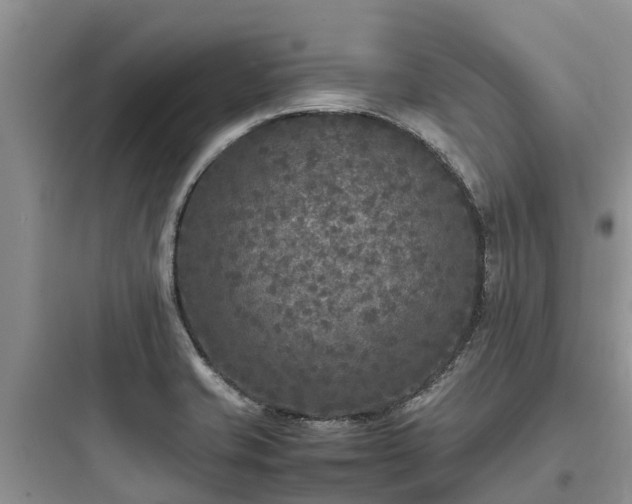 X0000097921421200803211517