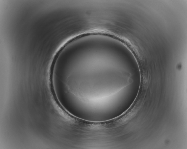 X0000097921422200803211517