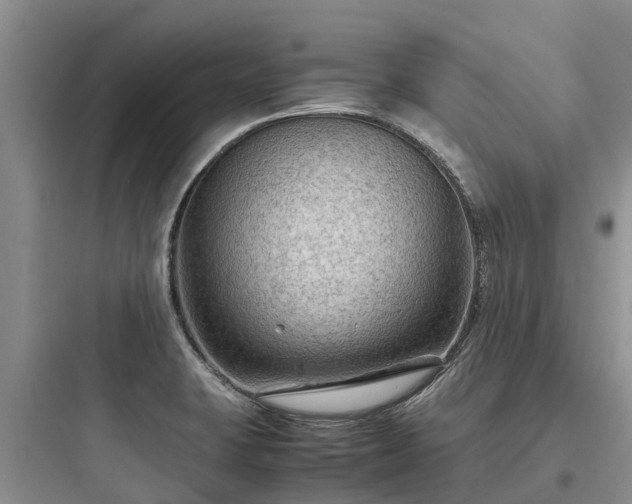 X0000097921423200803211517