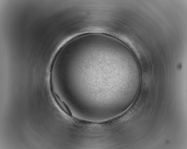 X0000097921424200803211517