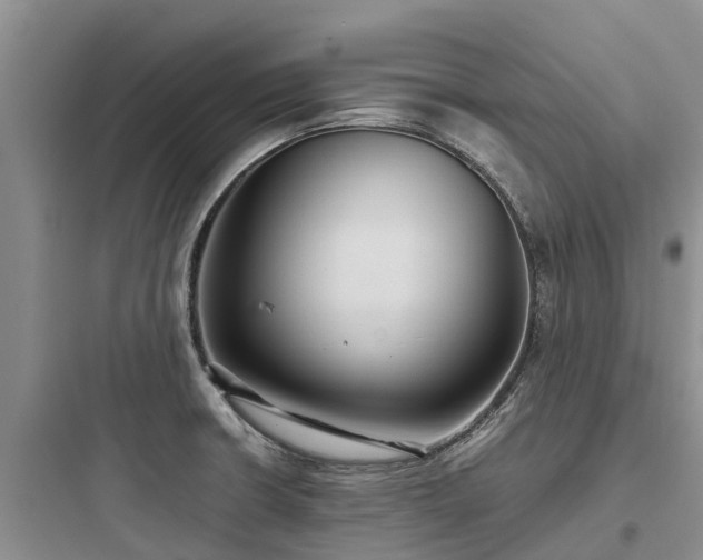 X0000097921426200803211517