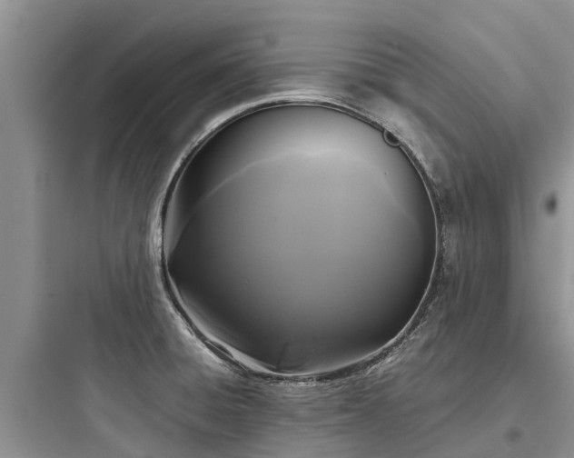 X0000097921428200803211517