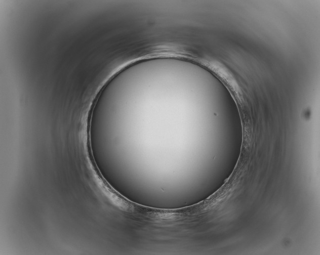 X0000097921431200803211517