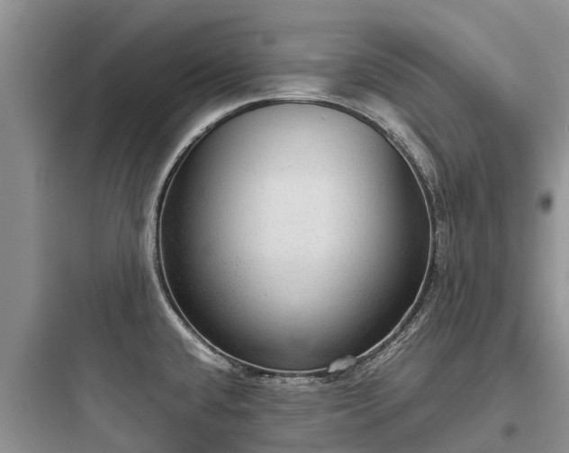 X0000097921432200803211517