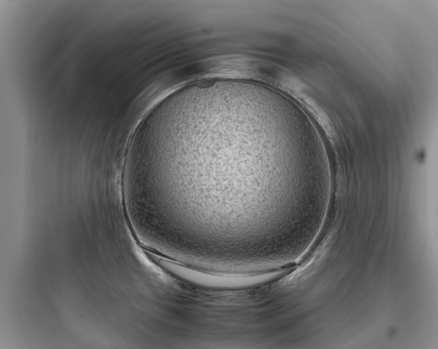 X0000097921433200803211517