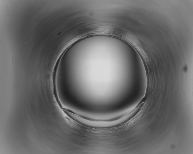X0000097921434200803211517