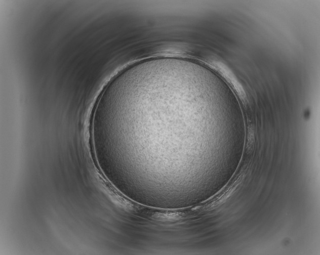 X0000097921435200803211517