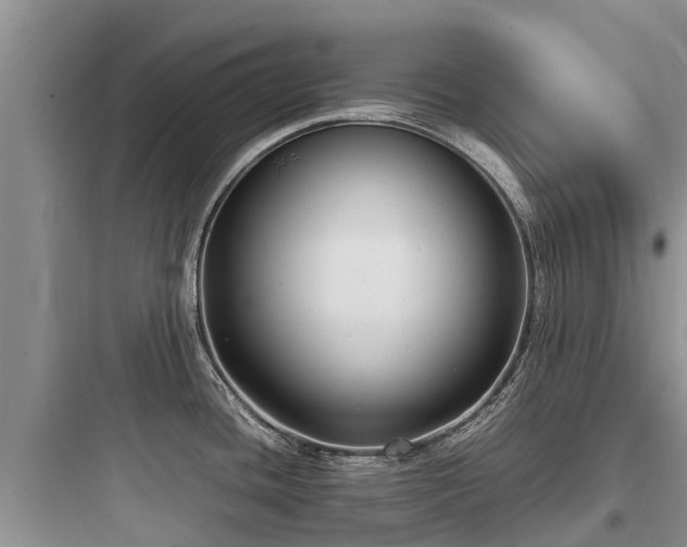 X0000097921436200803211517