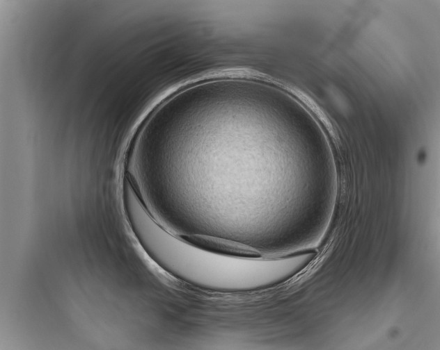 X0000097921438200803211517
