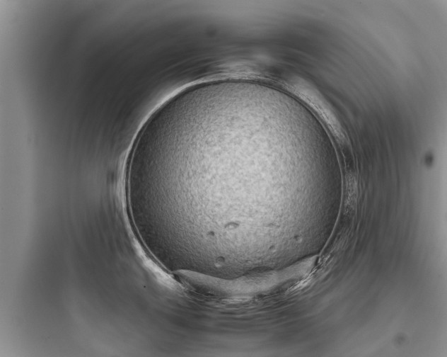 X0000097921439200803211517