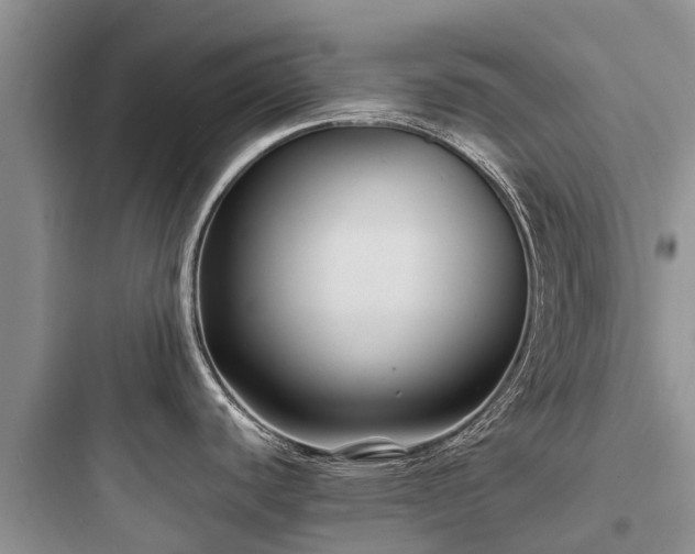 X0000097921440200803211518