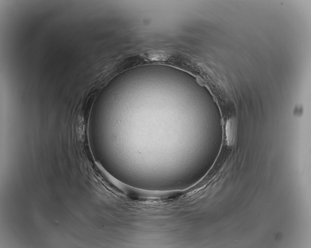 X0000097921443200803211517