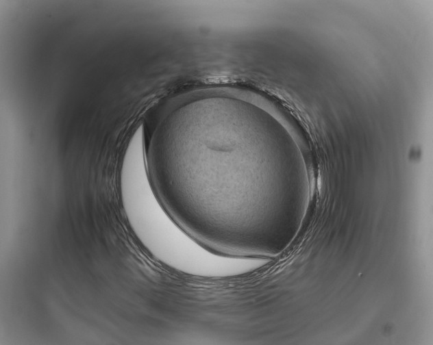 X0000097921444200803211517
