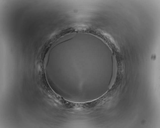 X0000097921445200803211517