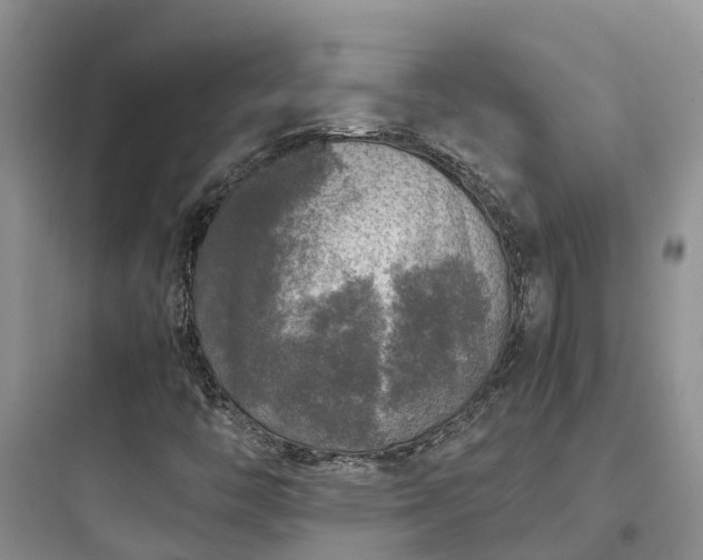 X0000097921446200803211517