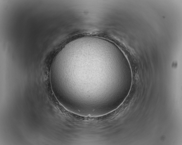X0000097921447200803211517