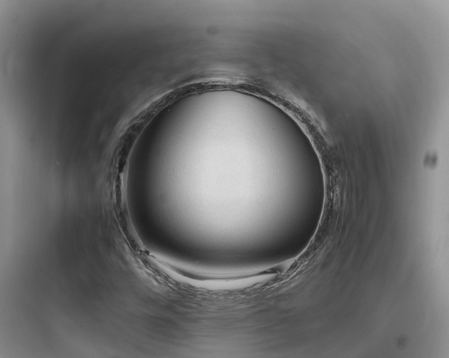 X0000097921448200803211517