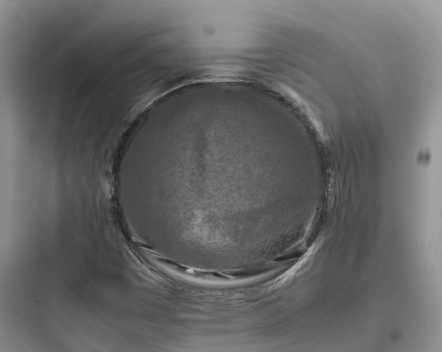 X0000097921449200803211517