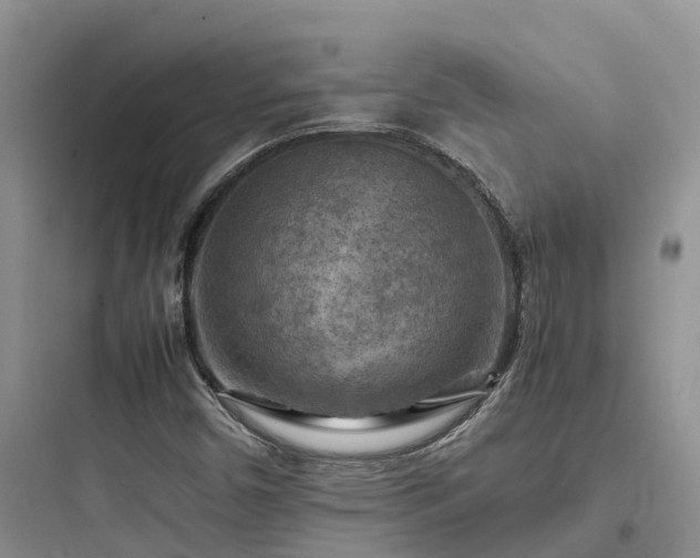 X0000097921450200803211517