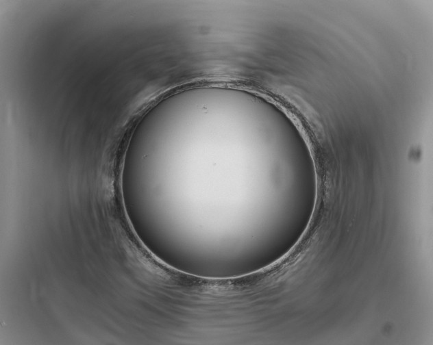 X0000097921451200803211517