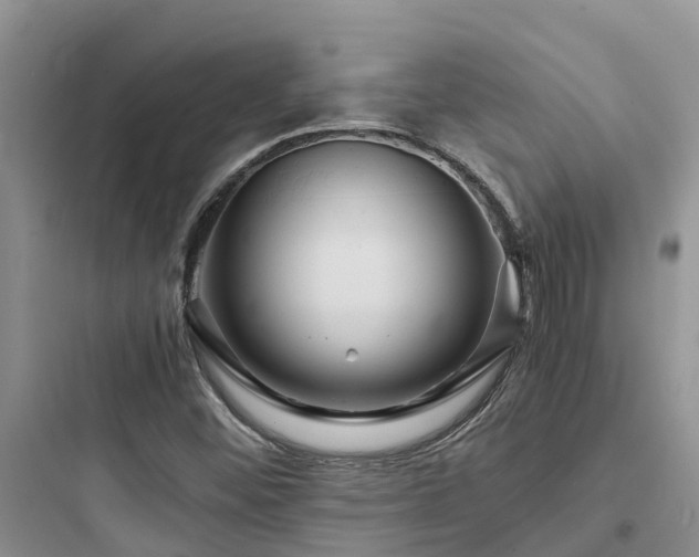 X0000097921452200803211517