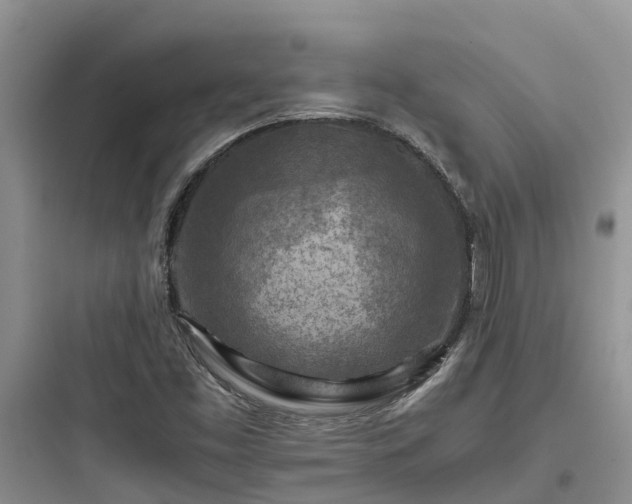 X0000097921453200803211517
