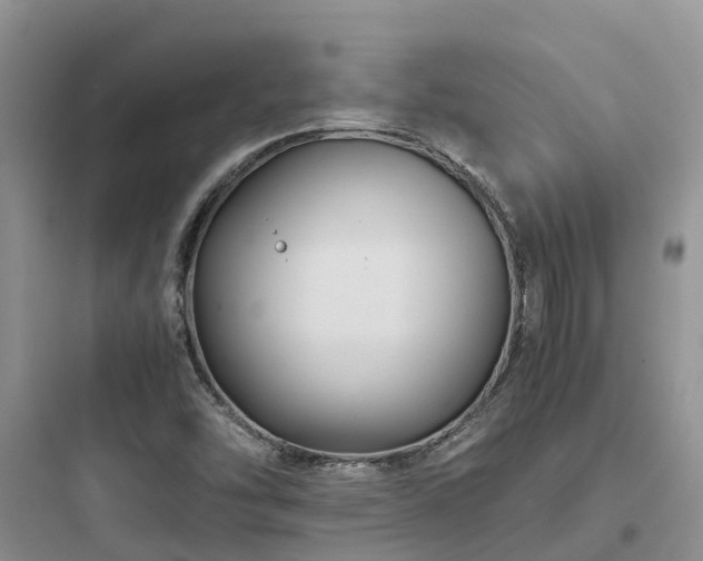 X0000097921454200803211517