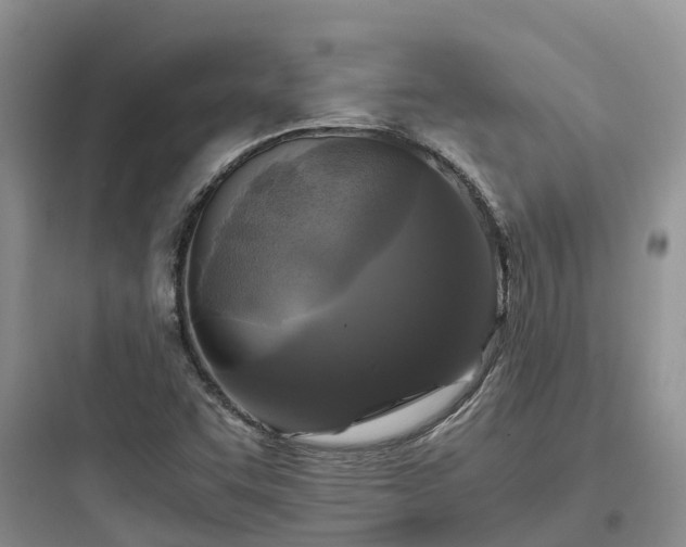 X0000097921455200803211517