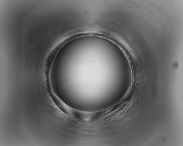 X0000097921456200803211517