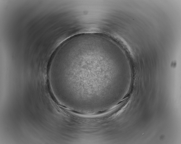 X0000097921457200803211517