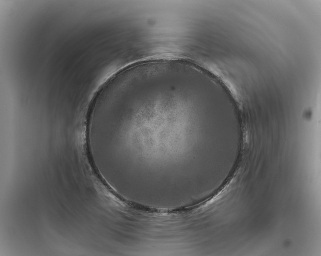 X0000097921459200803211517