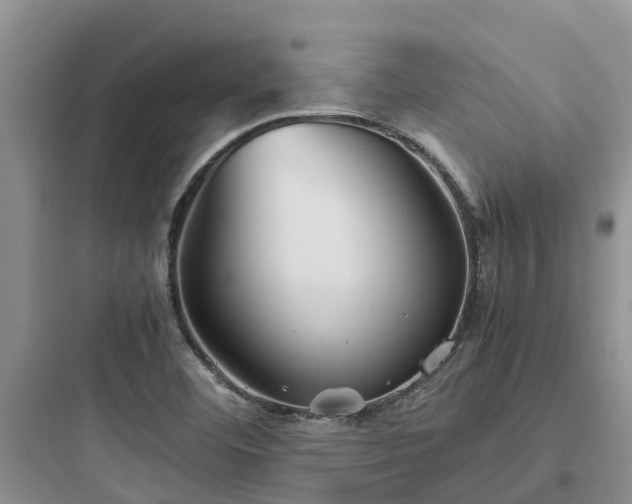 X0000097921460200803211517