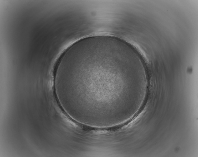 X0000097921461200803211517