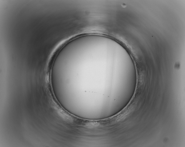 X0000097921462200803211517
