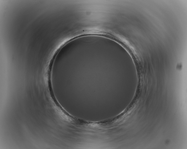 X0000097921463200803211517