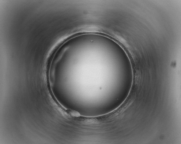 X0000097921464200803211517