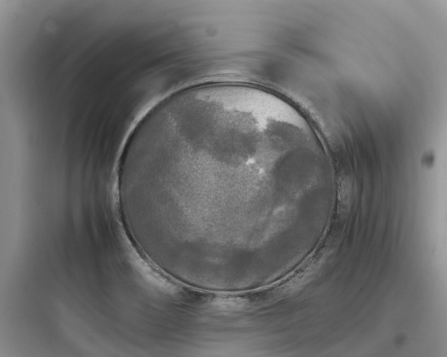 X0000097921466200803211517
