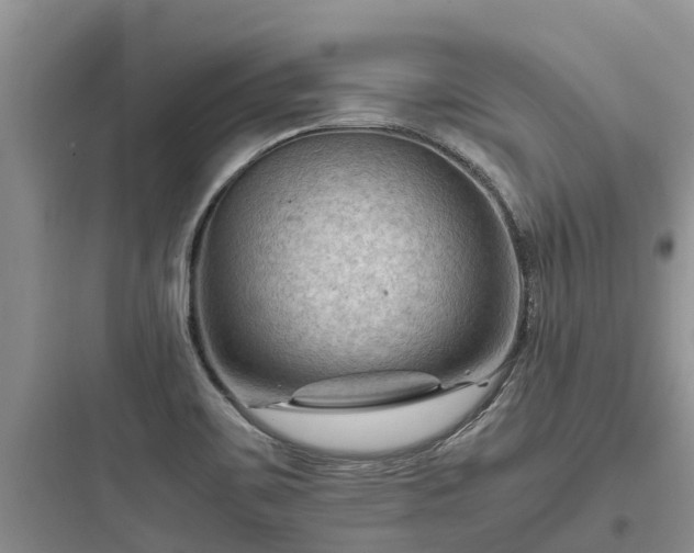 X0000097921467200803211516